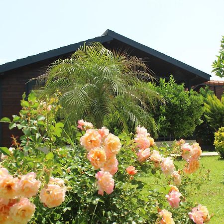 Cirali Villa'S Kemer Buitenkant foto