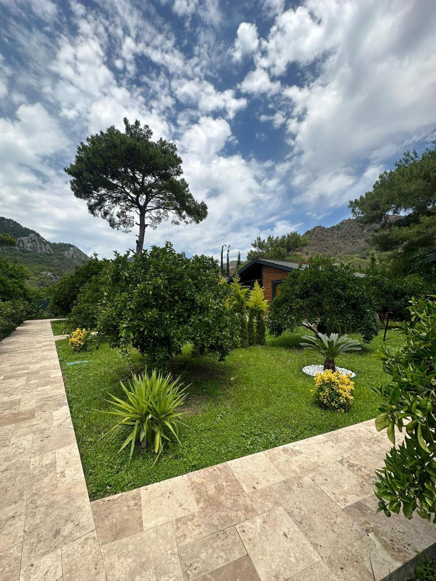 Cirali Villa'S Kemer Buitenkant foto