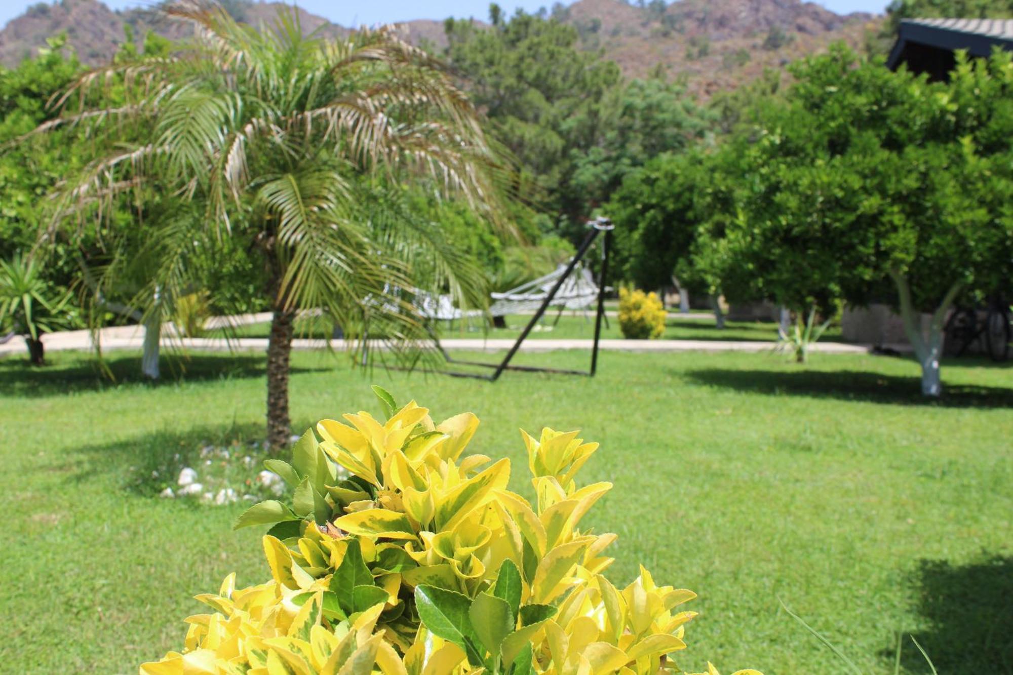 Cirali Villa'S Kemer Buitenkant foto